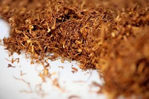 Rolling tobacco leaves close up background stock photography prints photo