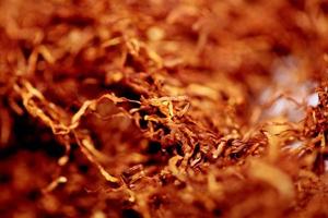 Rolling tobacco leaves close up background stock photography prints photo