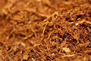 Rolling tobacco leaves close up modern background stock photography photo