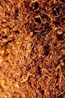 Rolling tobacco leaves close up background stock photography prints photo