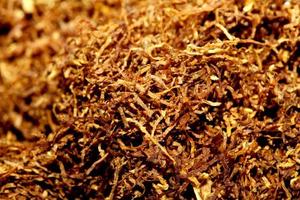 Rolling tobacco leaves close up background stock photography prints photo