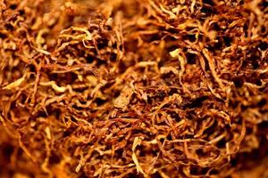 Rolling tobacco leaves close up background stock photography prints photo