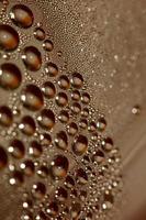 Water drops macro background modern high quality prints photo