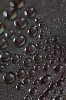 Water drops macro background modern high quality prints photo