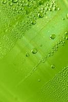 Water drops macro background modern high quality prints photo