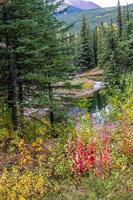 Beaver Ponds. Bow Valley Wilderness Area, Alberta, Canada