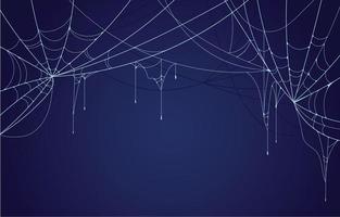 Spider Web Background vector