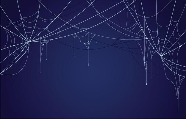 Spider Web Background