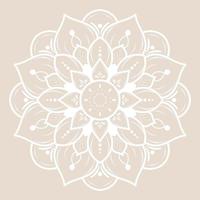 Mandala pattern design with hand drawn vector