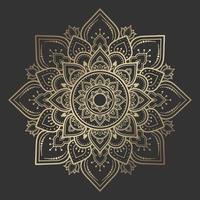 Mandala pattern design with hand drawn vector