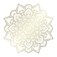 Mandala pattern design with hand drawn vector