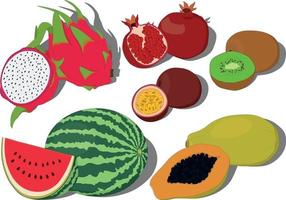 Whole and cut tropical fruits collection vector illustration