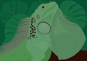 Green iguana reptile lizard vector illustration