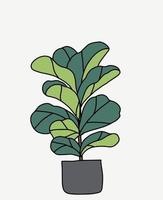 Doodle freehand sketch drawing of fiddle leaf fig tree. vector