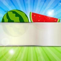 Abstract Natural Summer Background with Watermelon. Vector Illus