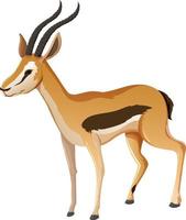 Personaje de dibujos animados de animales de impala sobre fondo blanco. vector