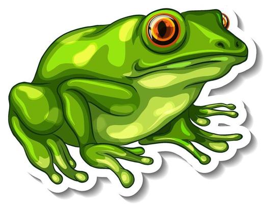 A sticker template with a green frog isolated