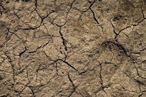 Abstract Grunge Cracked Dirty Dry Soil photo