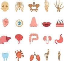 iconos de anatomia humana vector