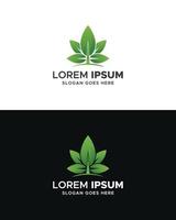 Leaf logo design template. Leaf icon vector