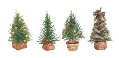 Watercolor illustration set of Christmas trees in pots. vector