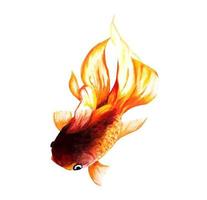 Goldfish. Watercolor painting. vector