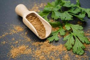 Brown coriander powder and wooden spoon photo