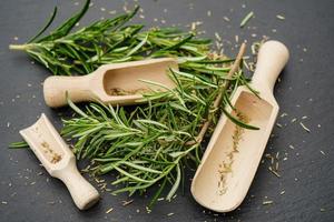 Rosemary Salvia rosmarinus and a wooden spoon photo