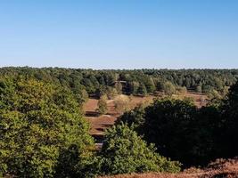 In the nature reserve Fischbeker Heide next to Hamburg Germany photo