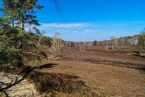 In the nature reserve Fischbeker Heide next to Hamburg Germany photo