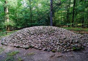 In the nature reserve Fischbeker Heide next to Hamburg Germany photo