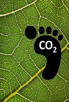 Carbon footprint, Carbon neutrality concept photo