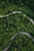 mountain road and green trees from above photo