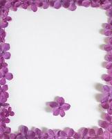 Background with copy space blank on table with lilac purple flower.