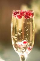 Sparkle wine in glass with red currant berries