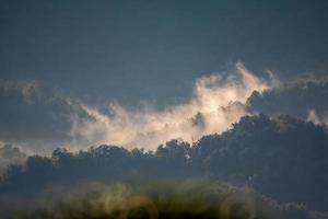 la niebla que fluye por la colina foto