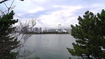 pont arc-en-ciel avec la tour de tokyo à tokyo, japon video