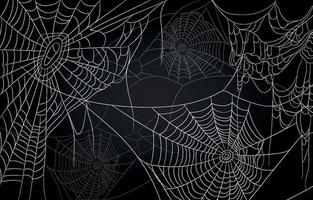 Spider Web Background vector