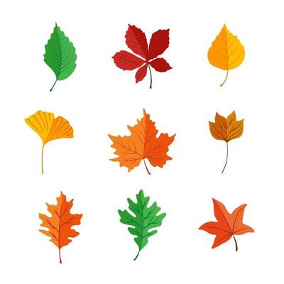 Icon Pack Leaf at Autumn