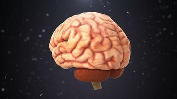 El cerebro humano gira en torno a un fondo negro. Animación médica 3d.