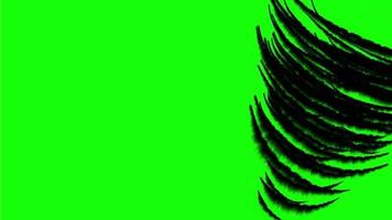 Black Tornado effect on green screen background. video