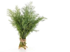 Fresh Dill Weed on white photo