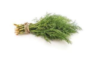 Fresh Dill Weed on white photo