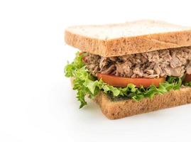 Tuna sandwich on white background photo