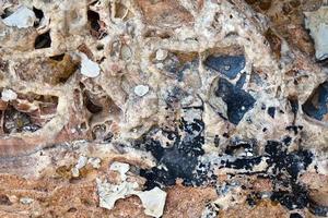 Natural Pattern Salty Rocks Surface photo