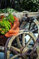 Vintage Old Horse Carriage Horse Cart photo