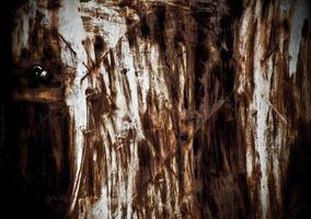 Abstract Grunge Background Texture photo