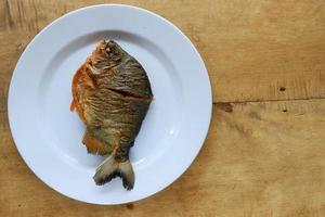 Pomfret on white plate with wooden table photo