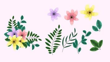 floral elements collection isolated flowers vines design elements vector