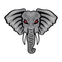 Elephant Mascot and Face vector